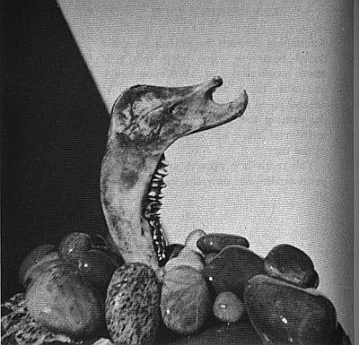 Sculpture of dolphin made from cow jaw.