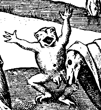 The priapic dancing frog of overweening passion.