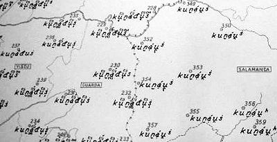 Page from a linguistic atlas of Spain (detail).