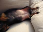 The right inside of Minnie.