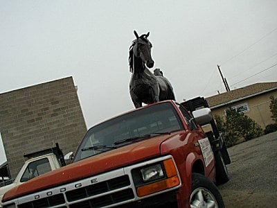 Horse in Albuquerque, New Mexico.