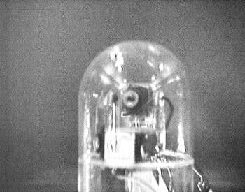 Robot head! Actually a camera from the Remote Lounge in New York.