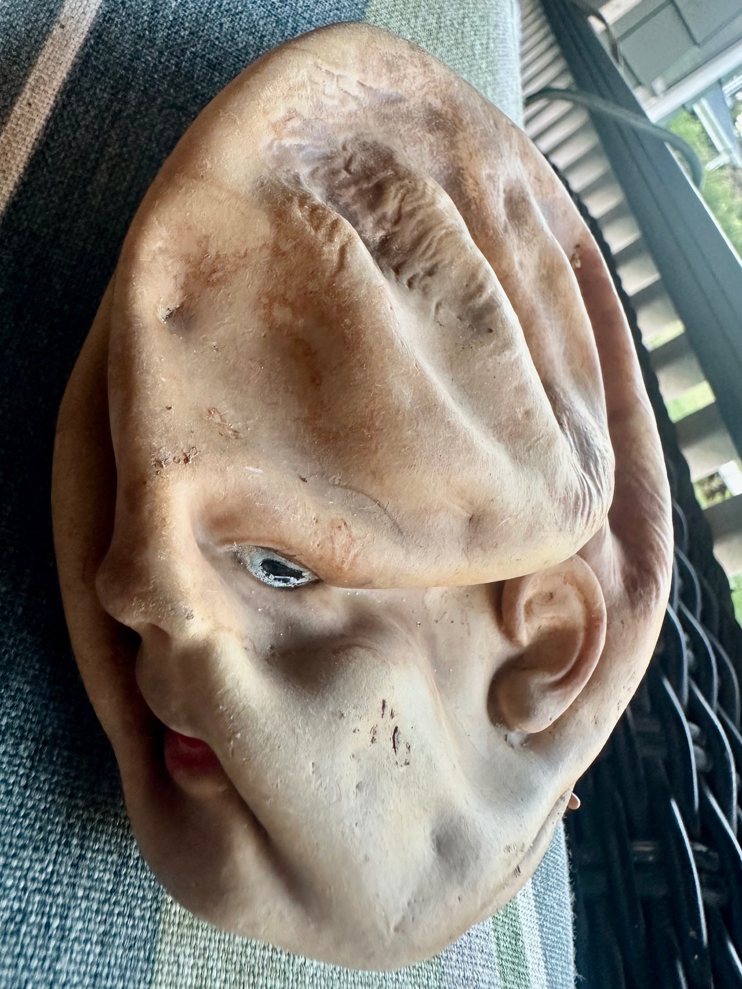 Grotesquely smushed doll head.