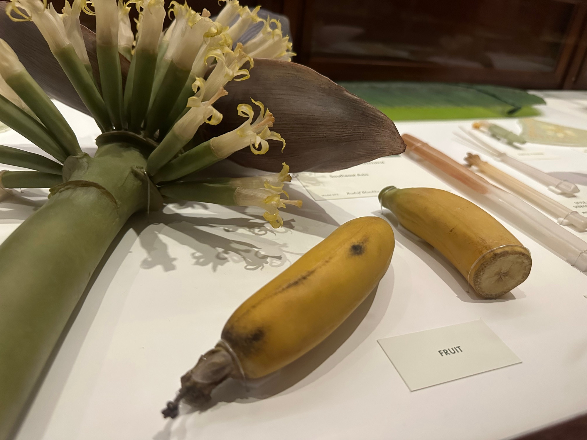 Glass bananas and a bit of a banana tree. All glass. Slightly bruised. It’s bananas.