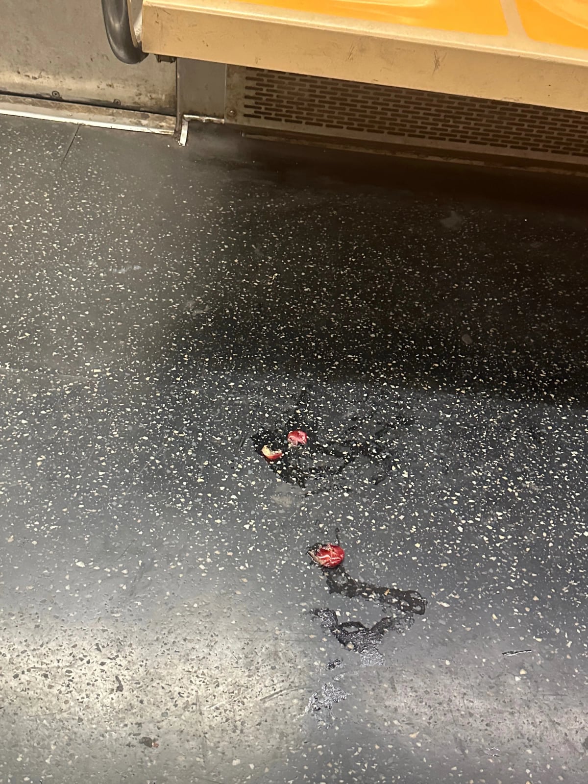 Smushed plums on the floor of the 6 train